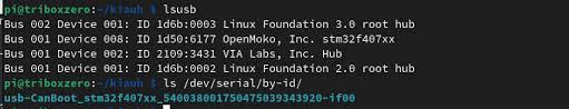 Example lsusb Output